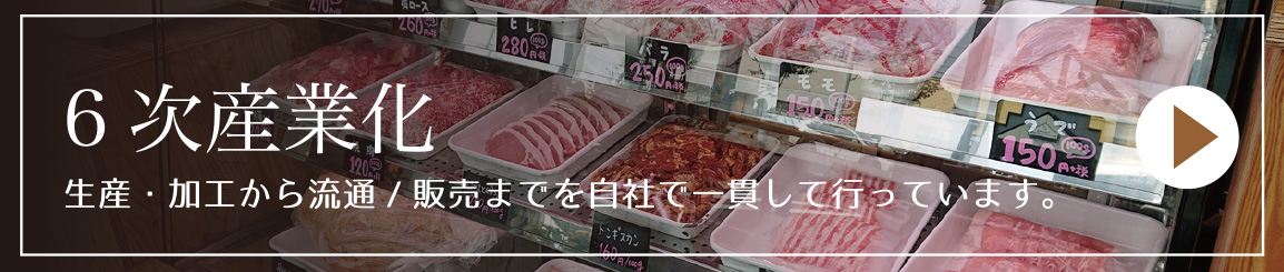 6次産業化